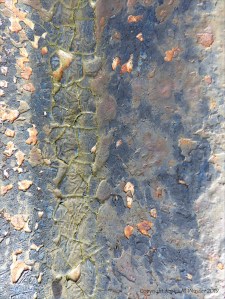 Textures produced by weathering on corrugated iron