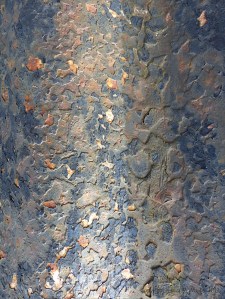 Textures produced by weathering on corrugated iron