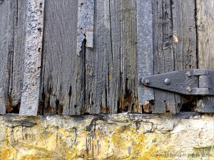 Textures produced by weathering and age on old boathouse woodwork