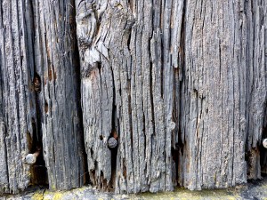 Textures produced by weathering and age on old boathouse woodwork