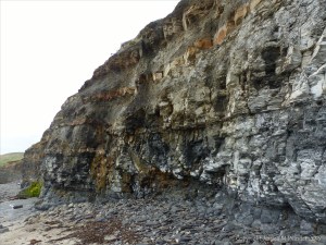 Illustration of active processes of weathering and erosion on sedimentary cliff rocks belonging to the Kimmeridge Clay Formation