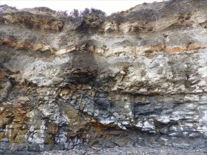 Illustration of active processes of weathering and erosion on sedimentary cliff rocks belonging to the Kimmeridge Clay Formation