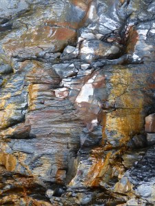 Illustration of active processes of weathering and erosion on sedimentary cliff rocks belonging to the Kimmeridge Clay Formation