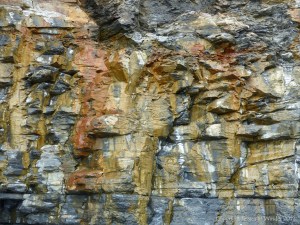 Illustration of active processes of weathering and erosion on sedimentary cliff rocks belonging to the Kimmeridge Clay Formation