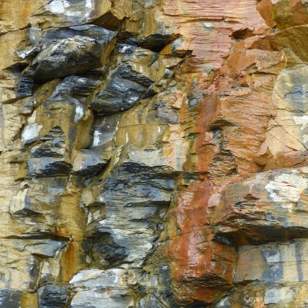Illustration of active processes of weathering and erosion on sedimentary cliff rocks belonging to the Kimmeridge Clay Formation