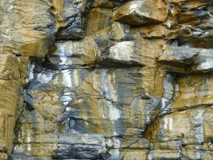 Illustration of active processes of weathering and erosion on sedimentary cliff rocks belonging to the Kimmeridge Clay Formation