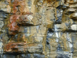 Illustration of active processes of weathering and erosion on sedimentary cliff rocks belonging to the Kimmeridge Clay Formation