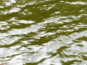 Pattern and texture on the surface of flowing water in a tidal river