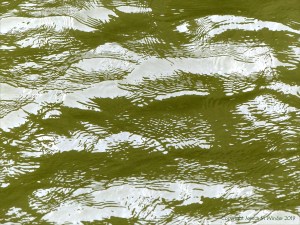 Pattern and texture on the surface of flowing water in a tidal river