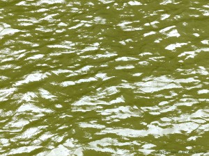 Pattern and texture on the surface of flowing water in a tidal river