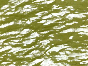 Pattern and texture on the surface of flowing water in a tidal river
