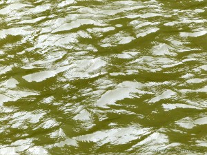 Pattern and texture on the surface of flowing water in a tidal river