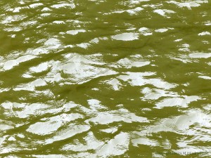 Pattern and texture on the surface of flowing water in a tidal river