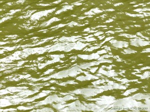 Pattern and texture on the surface of flowing water in a tidal river