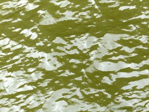 Pattern and texture on the surface of flowing water in a tidal river