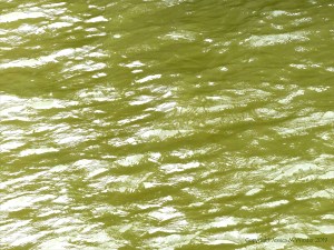 Pattern and texture on the surface of flowing water in a tidal river