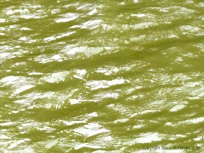Pattern and texture on the surface of flowing water in a tidal river
