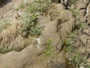Tidal river mud shapes and textures