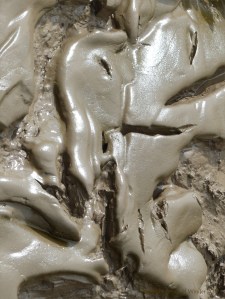 Tidal river mud shapes and textures