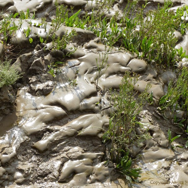 Tidal river mud shapes and textures