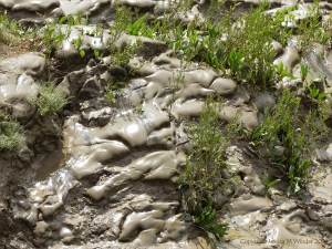Tidal river mud shapes and textures