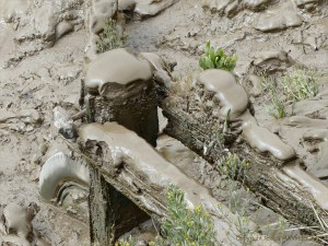 Tidal river mud shapes and textures