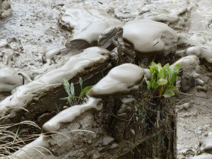Tidal river mud shapes and textures
