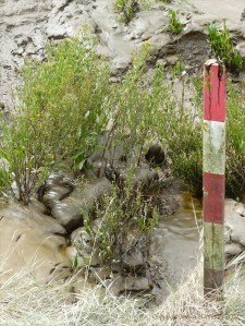 Tidal river mud shapes and textures