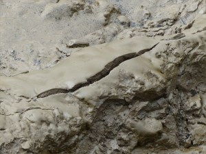 Tidal river mud shapes and textures
