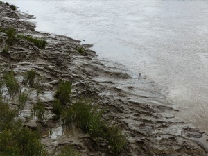 Tidal river mud shapes and textures