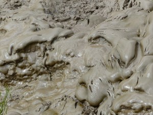 Tidal river mud shapes and textures