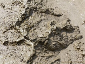 Tidal river mud shapes and textures