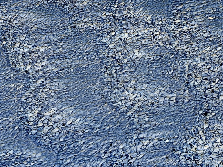 Natural patterns of light reflected on water