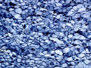 Natural patterns of light reflected on water