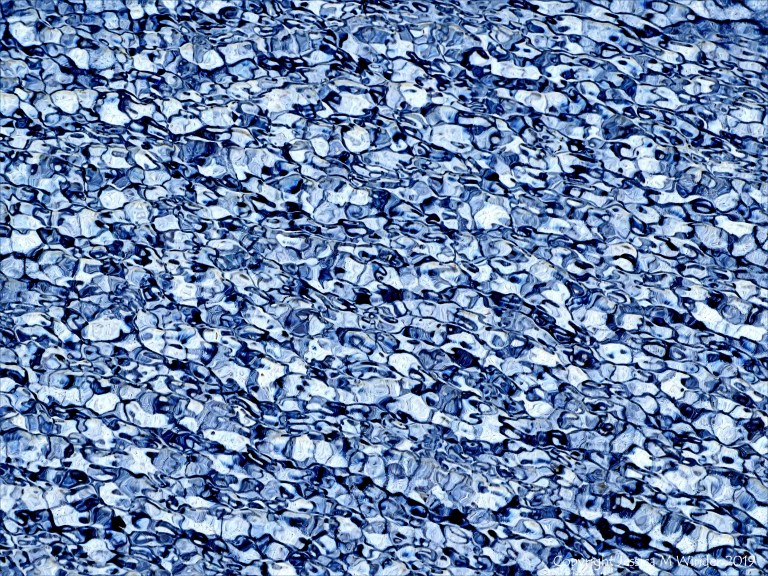 Natural patterns of light reflected on water