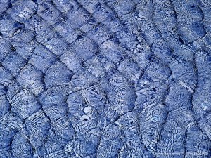 Natural patterns of light reflected on water