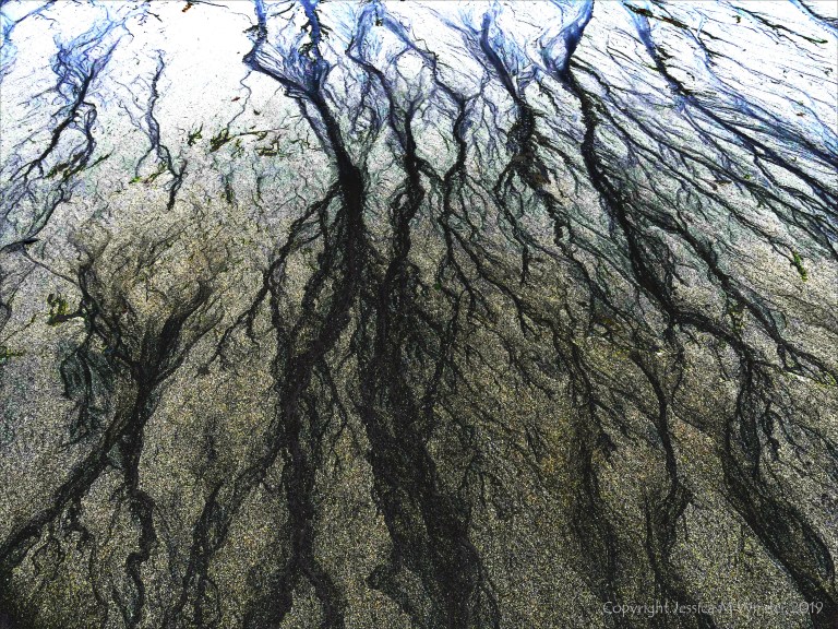 Natural patterns in the sand