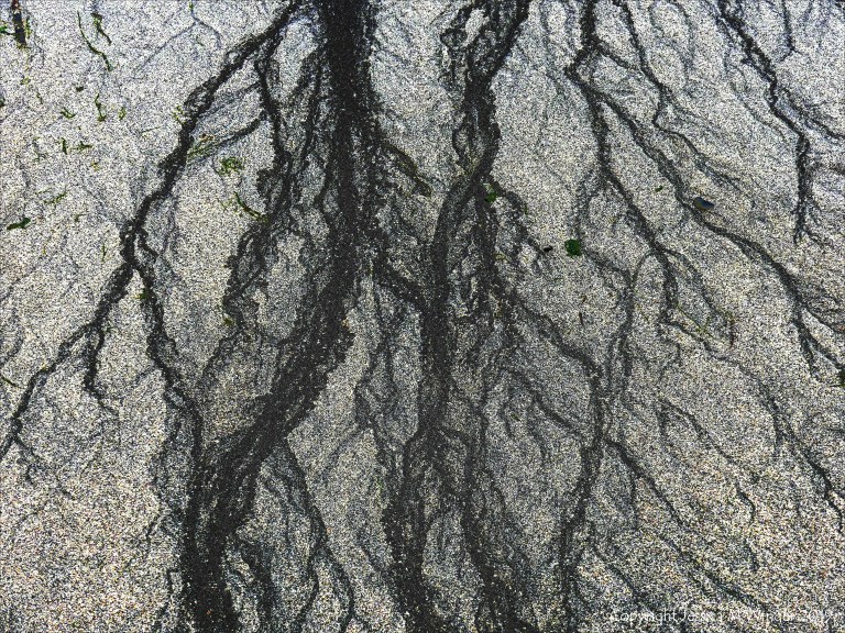 Natural patterns in the sand