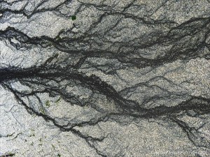 Natural patterns in the sand