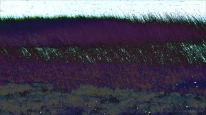 Abstract depiction of lakeside reeds