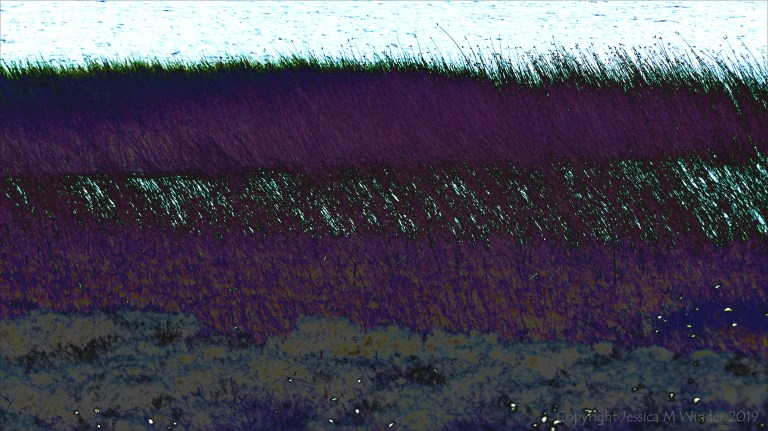 Abstract depiction of lakeside reeds