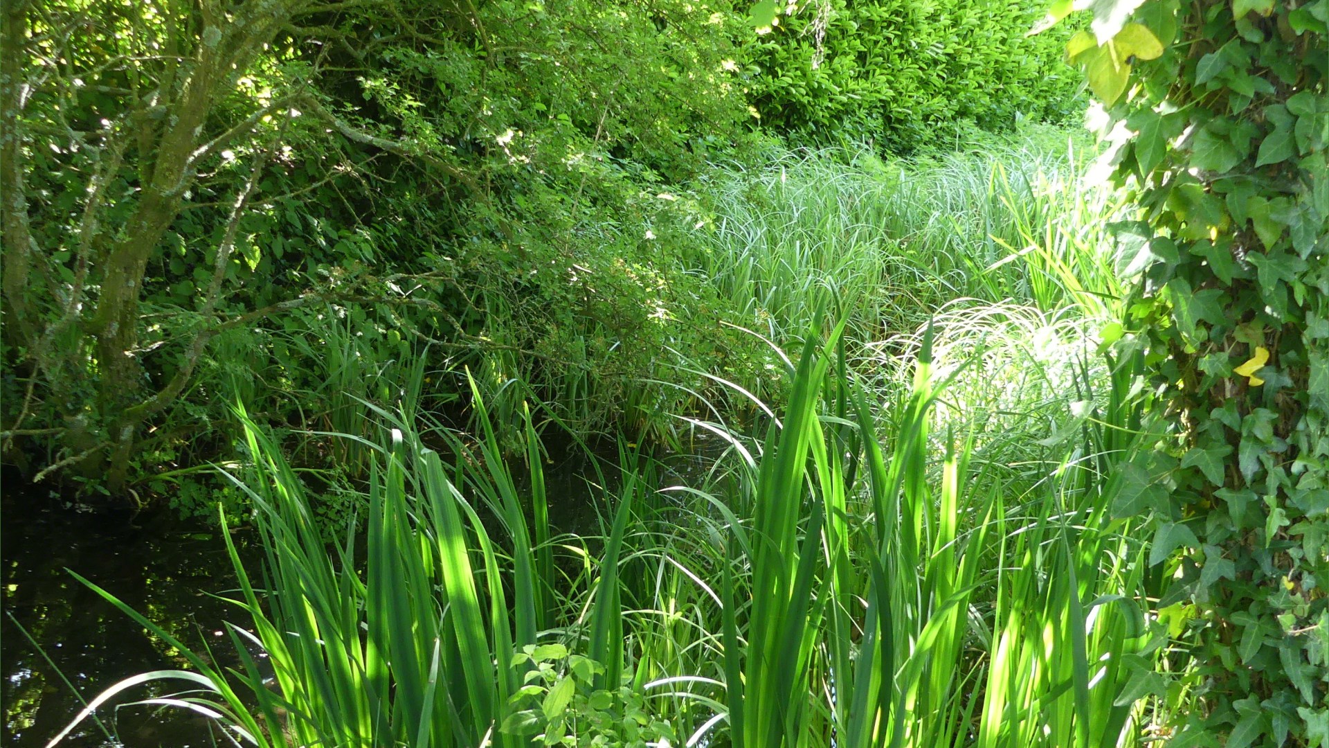 Pictures from a perfect day at Pallington Lakes