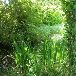 Pictures from a perfect day at Pallington Lakes