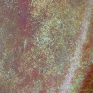 Detail of patination on the bronze sculptures called "Search for Enlightenment" by Simon Gudgeon