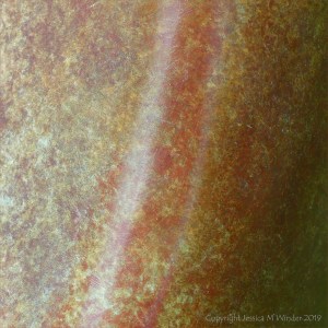 Detail of patination on the bronze sculptures called "Search for Enlightenment" by Simon Gudgeon