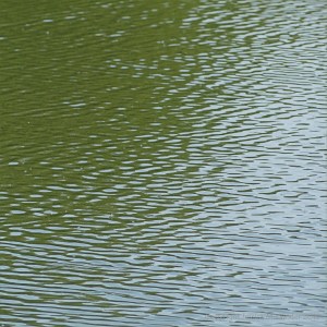 Natural water patterns