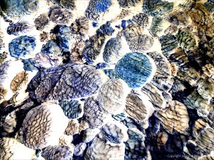 Natural patterns of reflected light on river-bed pebbles