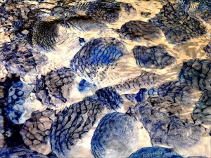 Natural patterns of reflected light on river-bed pebbles