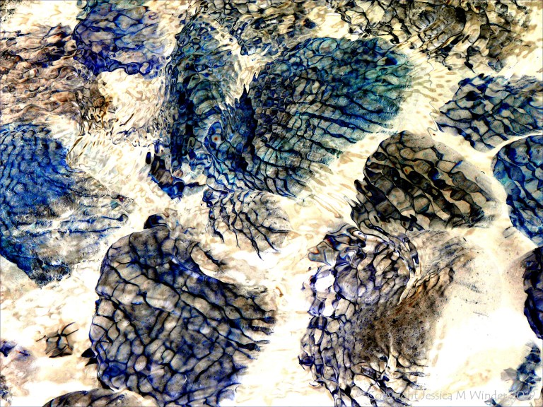 Part of a study of natural patterns of reflected light on river-bed pebbles
