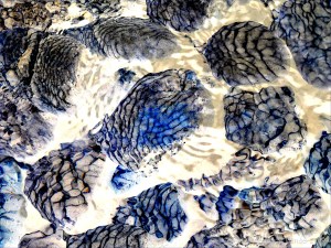 Part of a study of nNatural patterns of reflected light on river-bed pebbles
